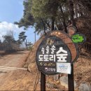 솔솔솔도토리숲 네이버블로그
