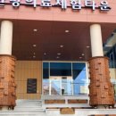 한방의료체험타운 이미지