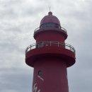 종합운동장지혜의등대 | 낭만쩌는 안산야장 오이도 난전시장에서 대하철 생새우먹은후기