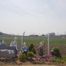 성덕면사무소 이미지