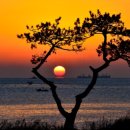 축복의집 이미지