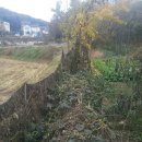 쭉돌농장 이미지