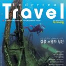 스텔라정