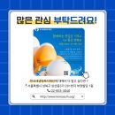 새힘온누리약국 이미지