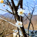 재실농장 이미지