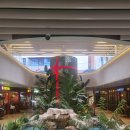 댓짱 돈까스 이미지