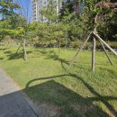 완충녹지12호 이미지