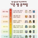 크니크니어린이집 이미지