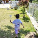 태극농장 이미지