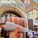 체코 프라하 간식 뜨르들로 굴뚝빵과 젤라또 가게 비교 후기