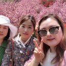 완산-166 네이버블로그