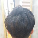 세나살롱 이미지