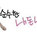 씨유펫장전점