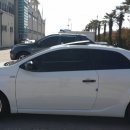 라파레이 이미지