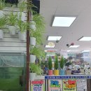 천지당약국