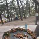 맹방 비치캠핑장 이미지