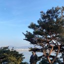 뷰66 이미지