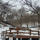 용인자연휴양림 이미지