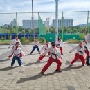 강철 태권도 | 줄넘기 강남구 최고의 태권도 학원은 바로 여기!