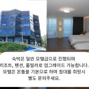 울릉도탑투어
