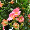 성산교회 이미지