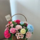 내 마음의 정원, 반려식물 테라피 이미지