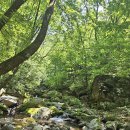 영월읍-5(연하계곡3) 이미지