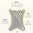 민수지화장품 | 괄사 러버의 리터니티괄사 (초미니/미니(페이스)/바디) 크기 및 두께차이와 사용후기