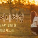 엘로히스트 읽을 때 듣기 좋은 새노래 #11 이미지