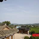 차유 이미지
