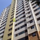 돌마로486번길 이미지