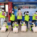 용인대 백호 태권도장 이미지