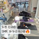 호이플랜 이미지
