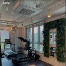 테리스짐 이미지