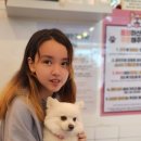 다시사랑받개 이미지