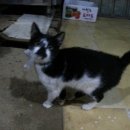 경림농장 이미지