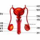 믿을신한의원 이미지