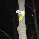 삼남목장 이미지