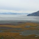 세포삼거리 이미지