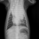 아쿠아 종합동물병원 이미지