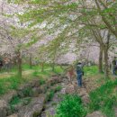 예래입구 이미지