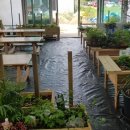 강정보여울 협동조합 이미지