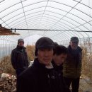 용헌농장. 이미지