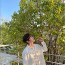 마카오전자 이미지