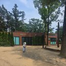 선원초등학교 | 대구 와룡숲속놀이터 아이와 놀기 좋은 조용한 놀이터 추천