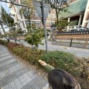 교동닭강정 이미지