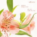 잔잔한 선율 속으로, 클래식 산책 이미지