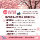 은모루어린이공원 화장실 | 2026 제주 벚꽃축제 예래생태공원 봄꽃 나들이 실시간 개화 상황