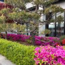 강남-266 이미지