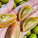 경민농장 이미지